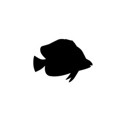 fish silhouette
