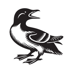 Dovekie Bird Clipart -  Little Auk Bird  Vector Illustration in black and white 