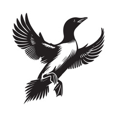 Fototapeta premium Dovekie Bird Clipart - Little Auk Bird Vector Illustration in black and white 