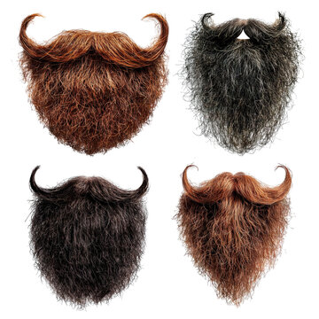 Set of curly stylish beards with mustaches, cut out