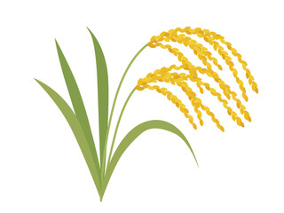 稲穂のベクターイラスト