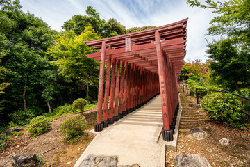 Red Tori gate in Yutoku Inari Shrine, famous shrine  dedicated to Inari in  Kashima, Saga, Kyushu