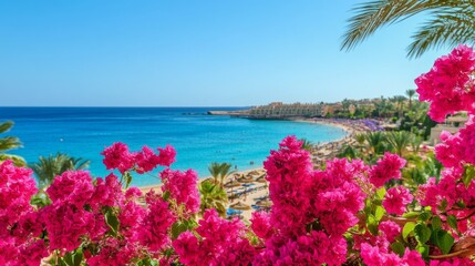 Egyptian beach blooms with bougainvillea