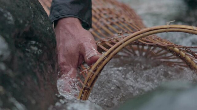 A fisherman catches fish using a traditional fish trap made of bamboo
