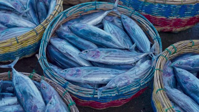 Fish stacked in baskets at the market