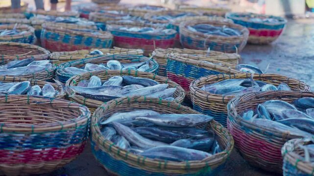 Fish stacked in baskets at the market