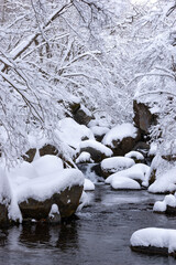 降雪翌朝の雪化粧した川俣川渓谷
