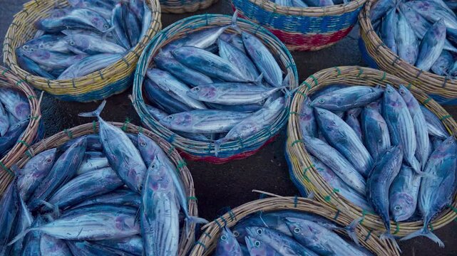 Fish stacked in baskets at the market