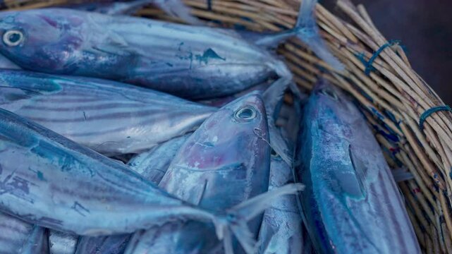 Fish stacked in baskets at the market