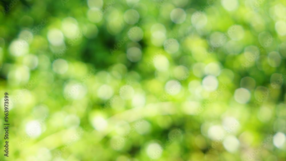 Wall mural soft focus green abstract bokeh background glittering aesthetic textured pattern