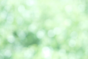 Obraz premium Soft focus Green Pastel Abstract bokeh background Glittering aesthetic textured pattern