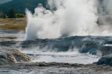 Field of geysers erupting, surrounded by steaming hot pools and mineral deposits