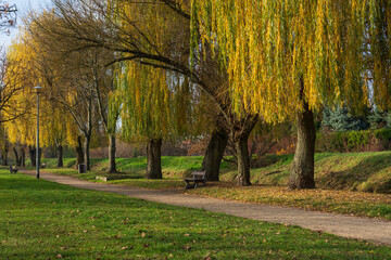 Miejski park jesienią