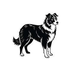 Silhouette of brave Australian shepherd dog vector clipart design