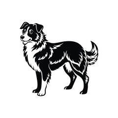 Silhouette of hunting Australian shepherd dog vector clipart design
