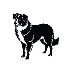 Silhouette of intense Australian shepherd dog vector clipart design