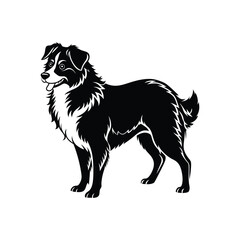 Silhouette of swift herding Australian shepherd dog vector clipart design