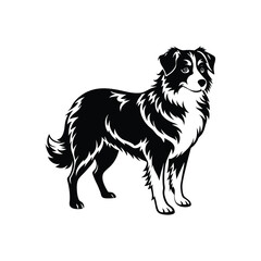 Silhouette of energetic puppy Australian shepherd dog vector clipart design