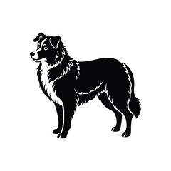 Silhouette of wild Australian shepherd dog vector clipart design