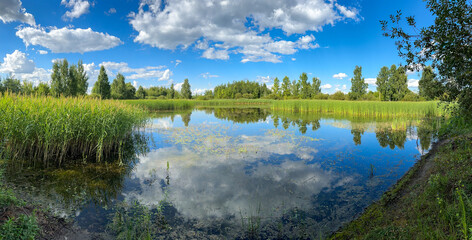 Lake in mixed forest in summer. Nature