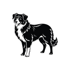 Silhouette of alert herding Australian shepherd dog vector clipart design