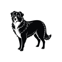 Silhuette of proud Australian shepherd dog vector clipart design