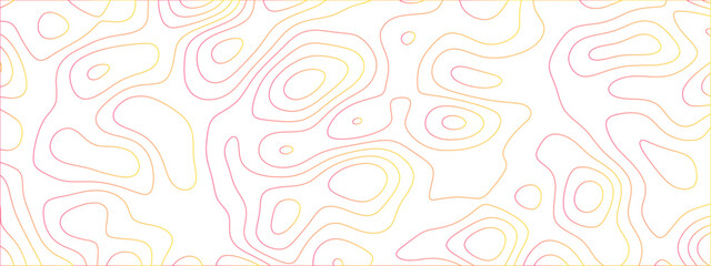 Abstract topographic lines. Topography contour map. Elegant minimalist geometric design. Vector illustration. Pattern modern art. Creative texture background. Luxury decor. Poster web wallpaper.