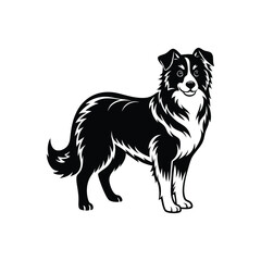Silhouette of agile Australian shepherd dog vector clipart design