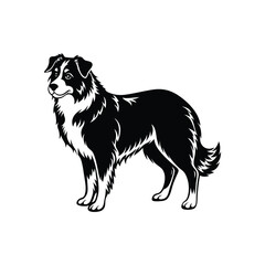 Silhouette of trotting Australian shepherd dog vector clipart design