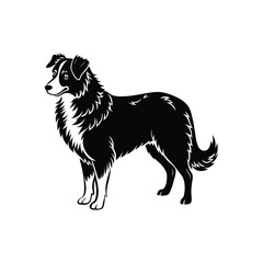 Fototapeta premium Silhouette of focused Australian shepherd dog vector clipart design