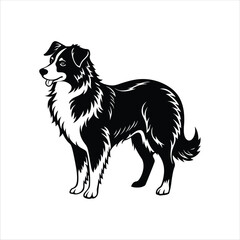 Silhouette of majestic Australian shepherd dog vector clipart design