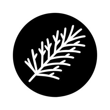Horsetail leaf illustration on a black background