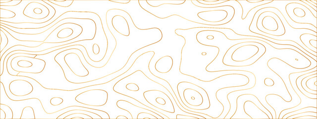 Abstract topographic lines. Topography contour map. Elegant minimalist geometric design. Vector illustration. Pattern modern art. Creative texture background. Luxury decor. Poster web wallpaper.