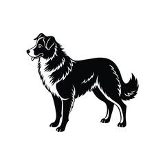 Silhouette of Australian shepherd dog vector clipart design