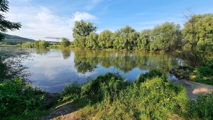 reflection of trees in water (vlotho, weser port)