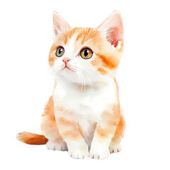 Adorable orange and white kitten.