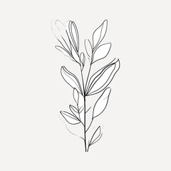 Minimalist botanical line art illustration