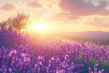 Wonderful nature landscape, amazing sunset scenery with blooming lavender flowers. Moody sky, pastel colors on bright landscape view. Floral panoramic meadow nature in lines with trees and horizon, ai