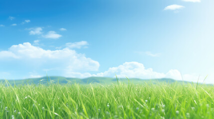 Obraz premium Tranquil Green Field and Clear Blue Skies