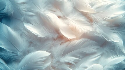 Soft white feathers arranged in a pattern with a warm light shining through.
