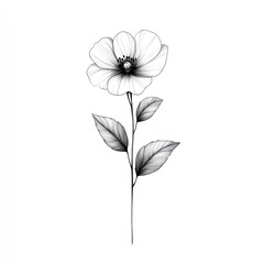 Elegant black and white line drawing of a flower with delicate petals and leaves, suitable for minimalist decor and artistic projects.