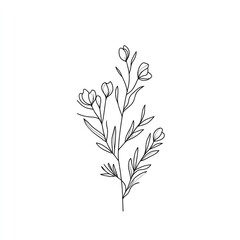 Elegant line art of a floral branch with buds and leaves, perfect for botanical illustrations and minimalist designs.