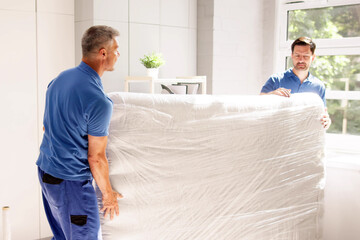 Skilled movers showcasing teamwork and interior decoration