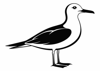 Obraz premium Seagull silhouette vector illustration