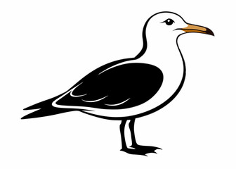 Obraz premium Seagull silhouette vector illustration