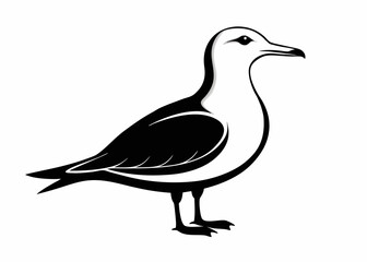 Seagull silhouette vector illustration