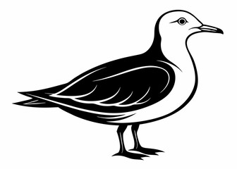 Seagull silhouette vector illustration