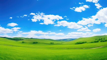 Obraz premium Vast Green Meadow Under Blue Sky