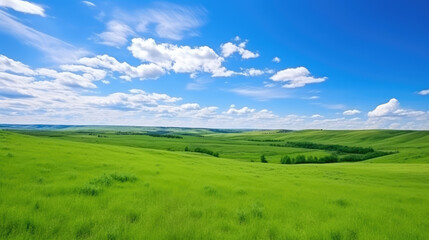 Obraz premium Serene Green Meadow Under Blue Sky