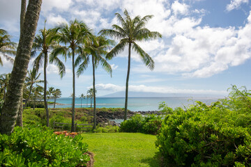 Naklejka premium Kapalua bay and palm trees in West Maui, Hawaii